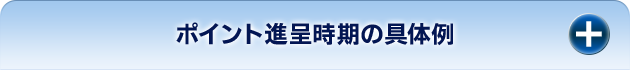 ポイント進呈の具体例 開く