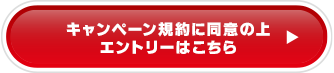 キャンペーン規約に同意の上エントリーはこちら